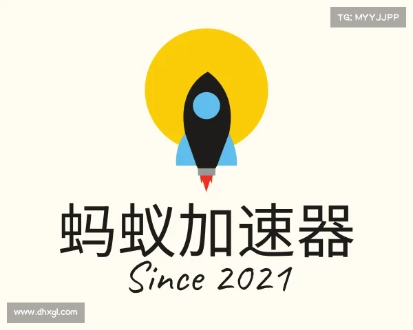 知道蚂蚁加速器